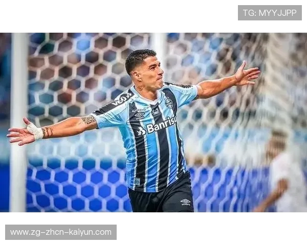 弗拉门戈反击速度保持在线