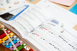 开云体育链接-中小学体育课安全教育现状与对策，中小学体育课安全教育现状与对策研究