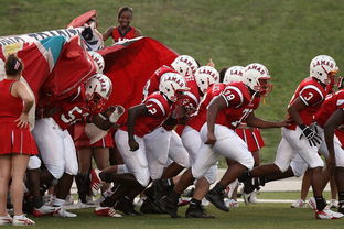 开云电竞登录-全国青少年风帆赛在厦门水域精彩纷呈，风帆比赛规则