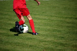 开云平台-篮球运动员心理素质测评体系构建，篮球运动员心理素质的重要性